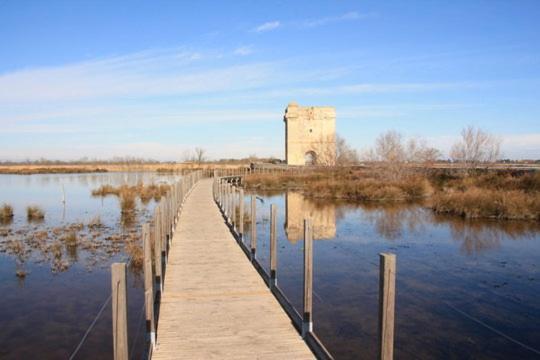Vacances En Camargue Proche De La Mer Climatise エーグ・モルト エクステリア 写真