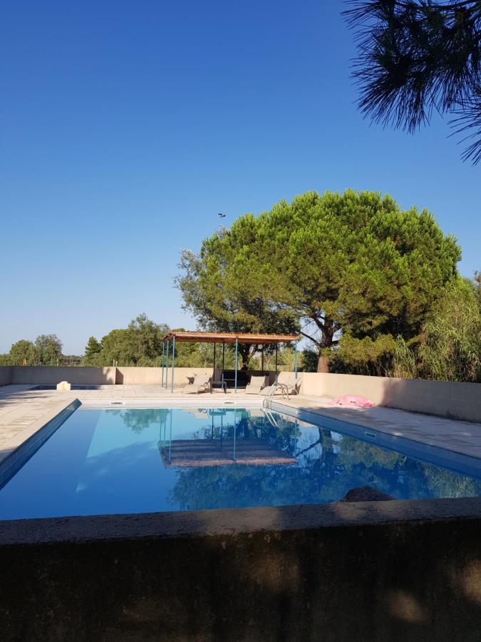 Vacances En Camargue Proche De La Mer Climatise エーグ・モルト エクステリア 写真