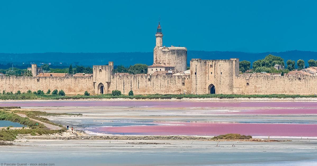 Vacances En Camargue Proche De La Mer Climatise エーグ・モルト エクステリア 写真